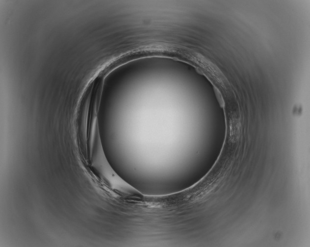 X0000097610436200802291305