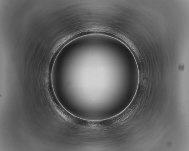X0000097610437200802291305