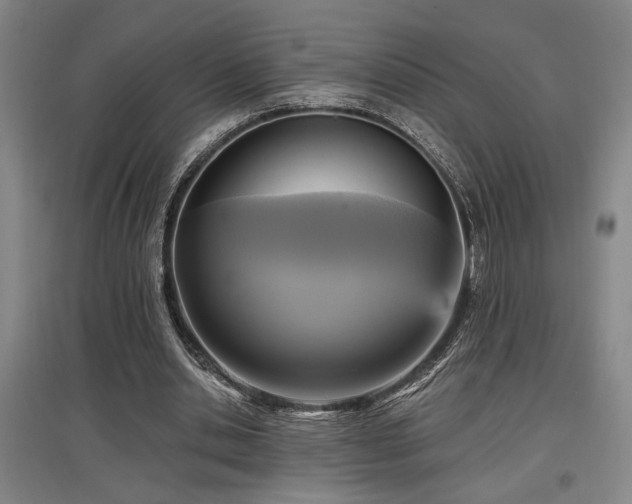 X0000097610438200802291305