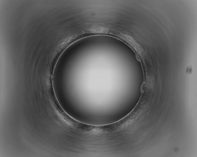 X0000097610441200802291305