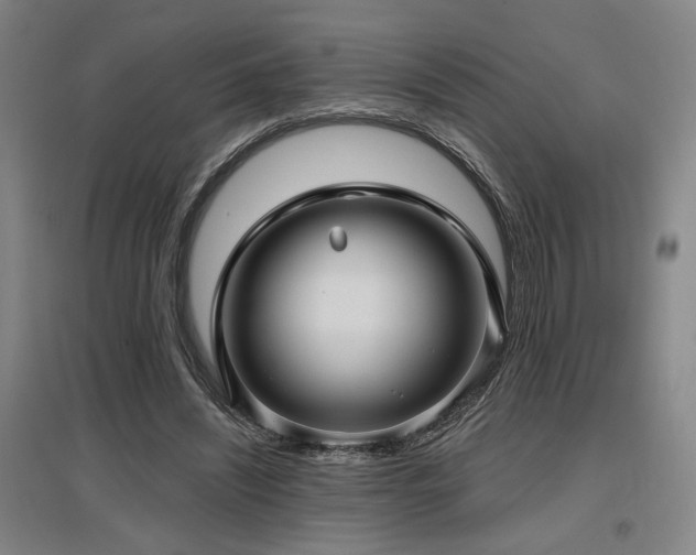 X0000097610444200802291305