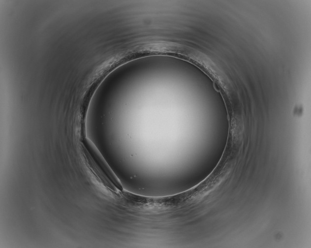 X0000097610445200802291305