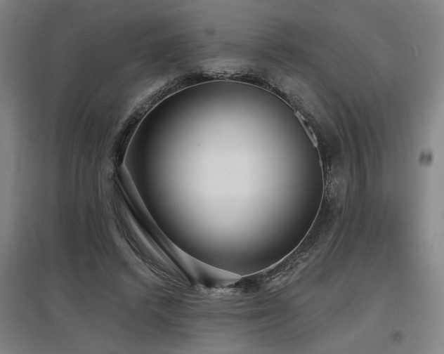 X0000097610448200802291306