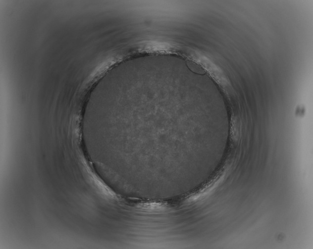 X0000097610449200802291306