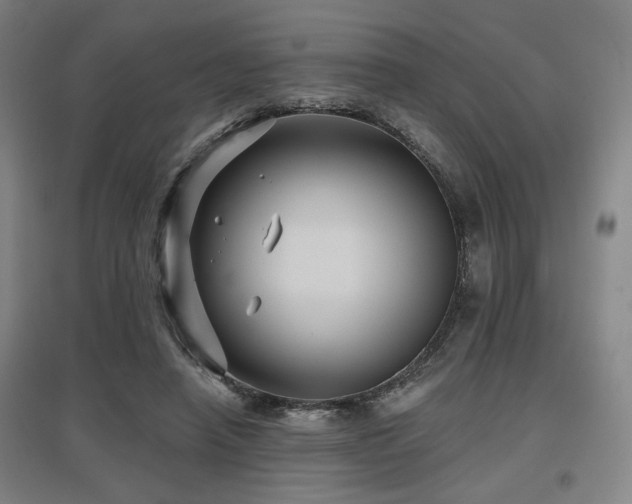 X0000097610450200802291306