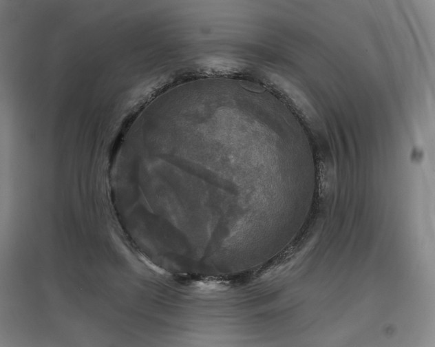 X0000097610451200802291306
