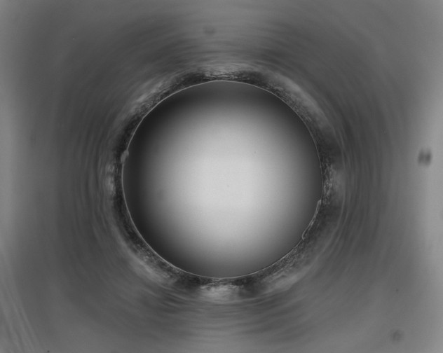 X0000097610452200802291306