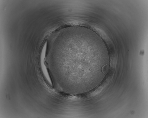 X0000097610453200802291306