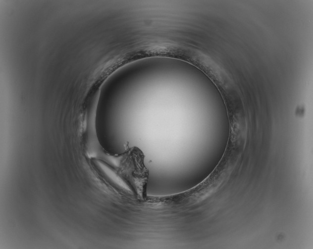 X0000097610454200802291306