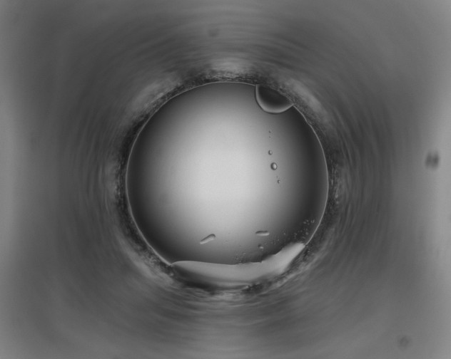 X0000097610455200802291306