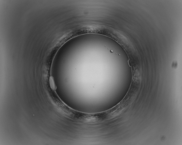 X0000097610456200802291306