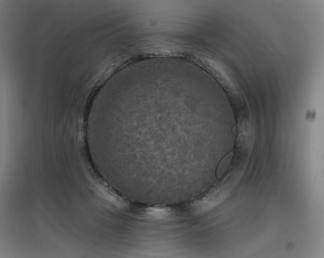 X0000097610457200802291306