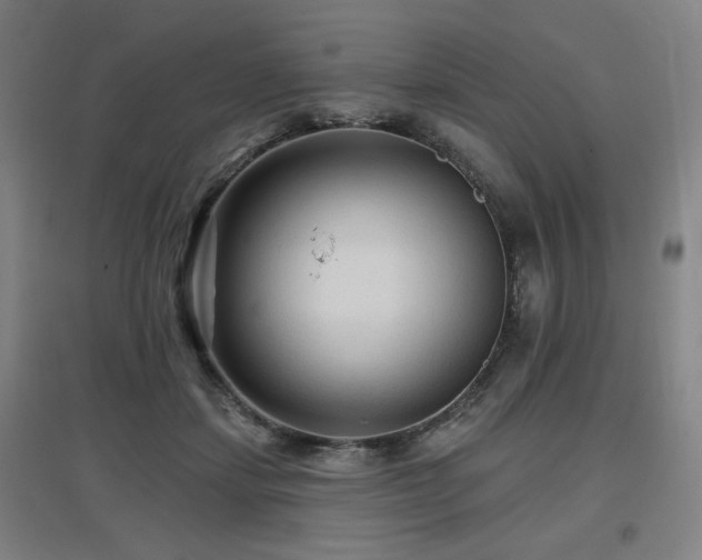 X0000097610459200802291306