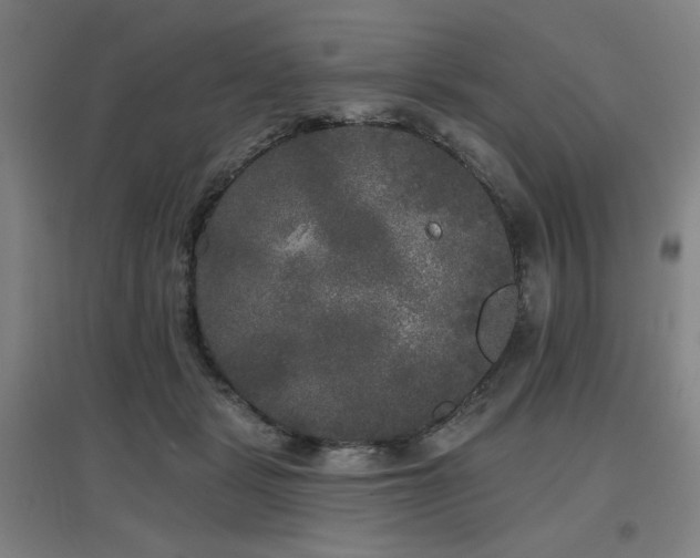 X0000097610461200802291306