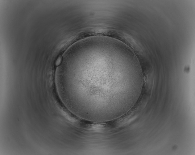X0000097610462200802291306