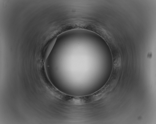 X0000097610464200802291306
