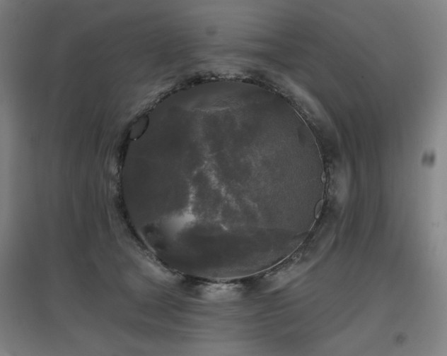 X0000097610465200802291306