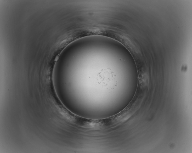 X0000097610466200802291306