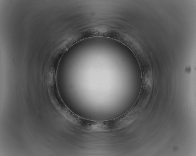 X0000097610468200802291306