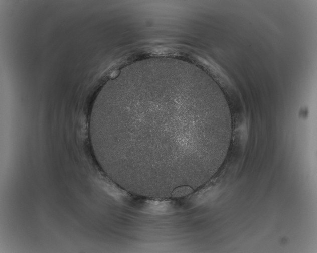 X0000097610469200802291306
