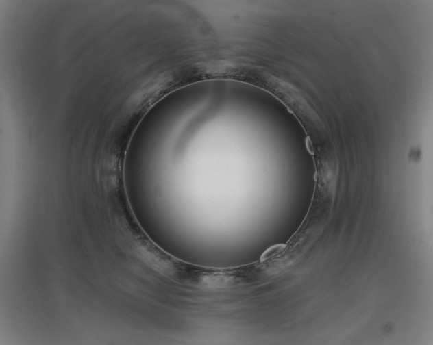 X0000097610470200802291306