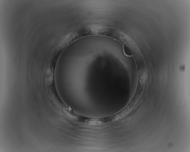 X0000097610471200802291306