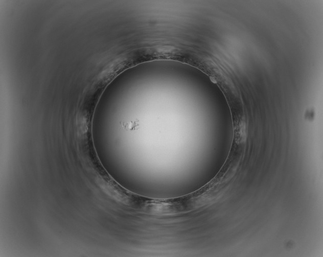X0000097610472200802291306