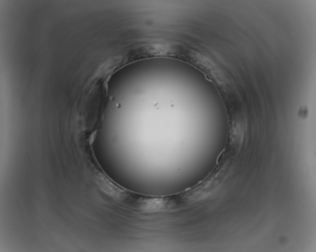 X0000097610473200802291306