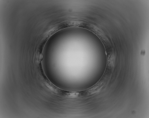 X0000097610474200802291306