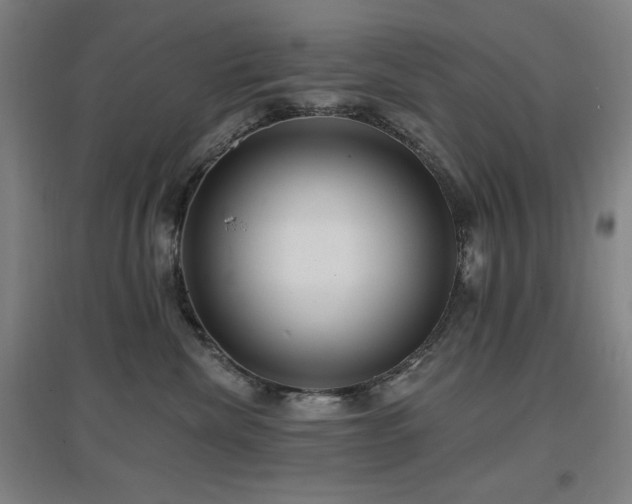 X0000097610476200802291306