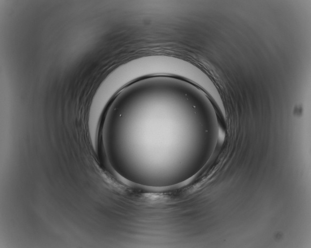 X0000097610477200802291306