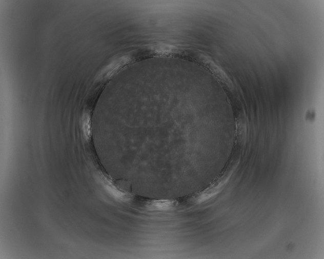 X0000097610479200802291306