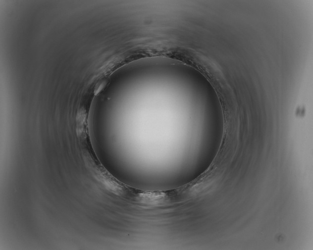 X0000097610480200802291306