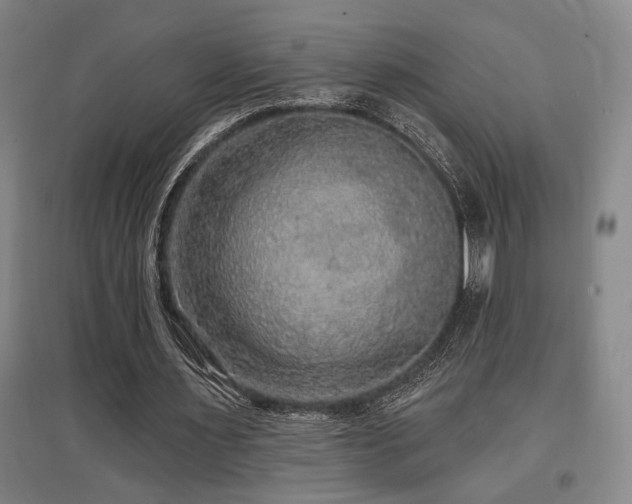 X0000097610483200802291305