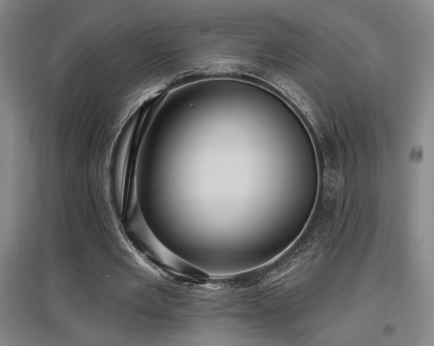 X0000097610485200802291305