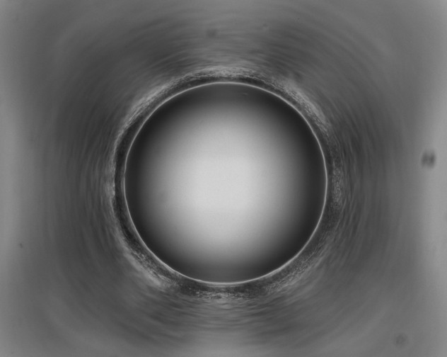 X0000097610486200802291305