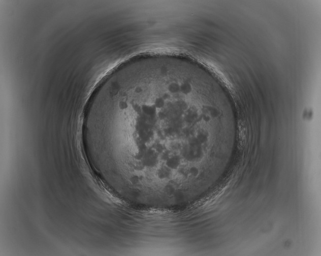 X0000097610487200802291305