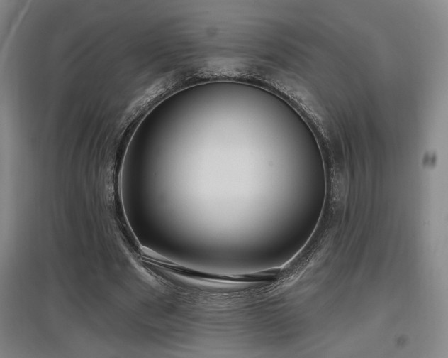 X0000097610489200802291305
