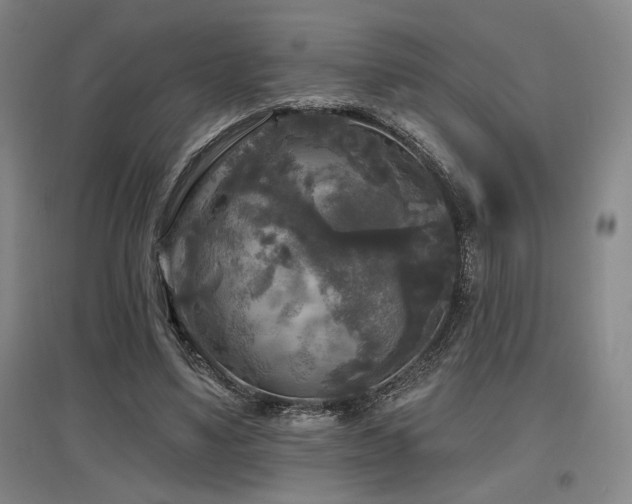 X0000097610491200802291305