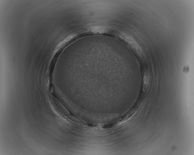X0000097610492200802291305