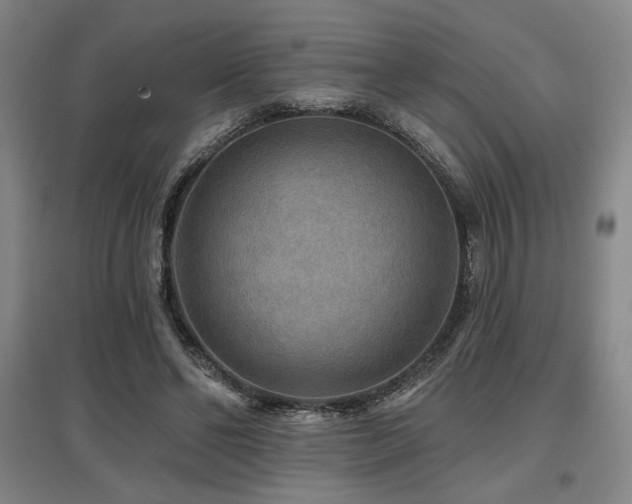 X0000097610494200802291305