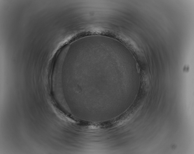 X0000097610496200802291305