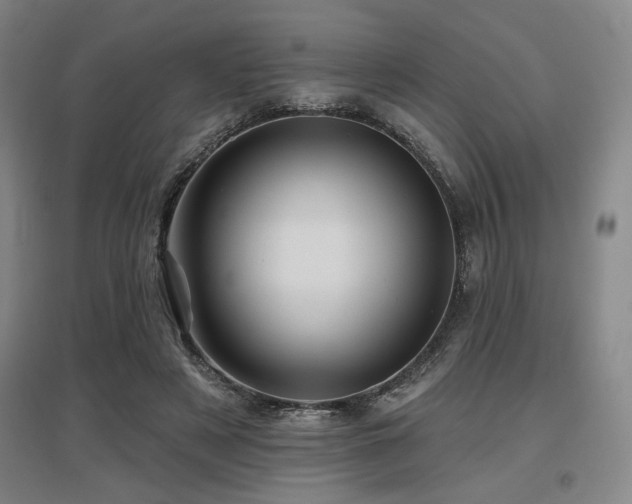 X0000097610497200802291305