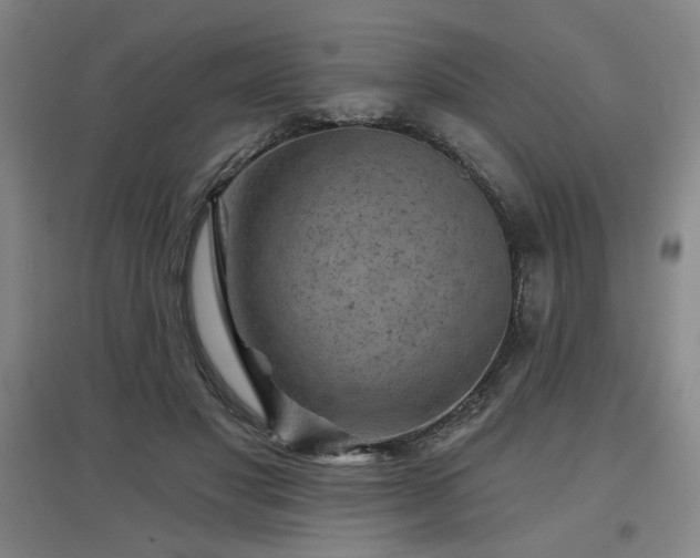 X0000097610501200802291305