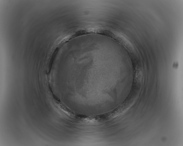 X0000097610502200802291305
