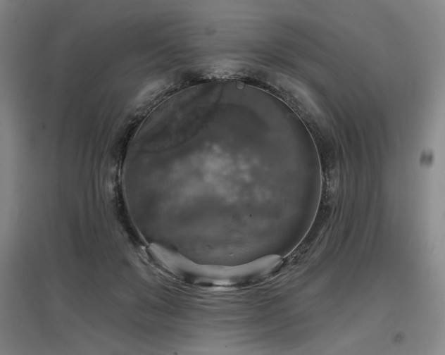 X0000097610503200802291305
