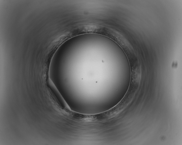 X0000097610505200802291305