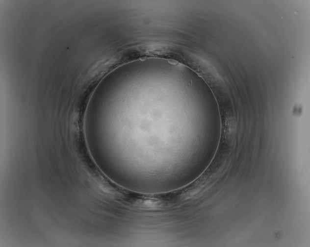X0000097610506200802291305