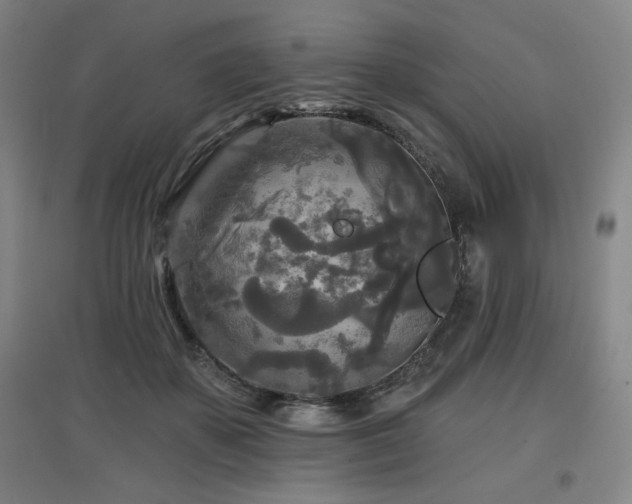 X0000097610507200802291305