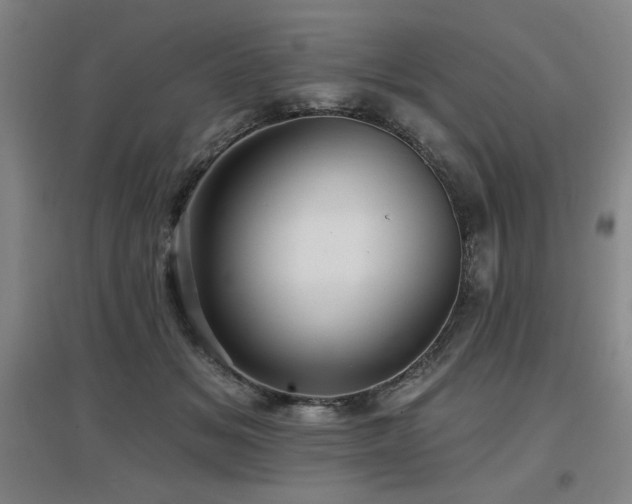 X0000097610509200802291305